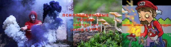 дмт Богданович