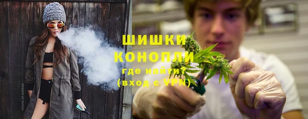 дмт Богданович