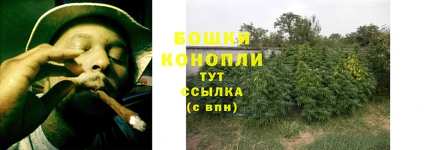 Альфа ПВП Богородск