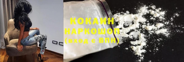 дмт Богданович