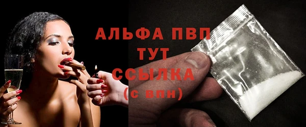 дмт Богданович
