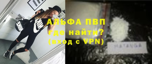 ПСИЛОЦИБИНОВЫЕ ГРИБЫ Богородицк