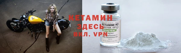 дмт Богданович