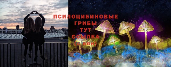 дмт Богданович