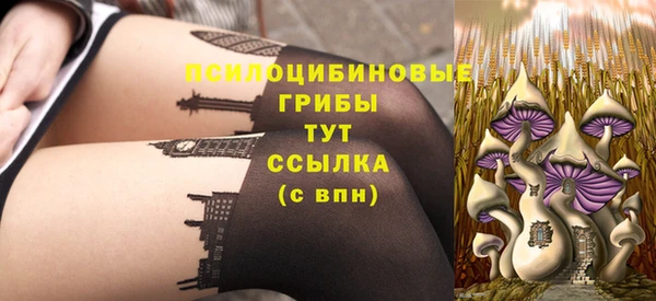 Альфа ПВП Богородск