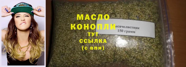 дмт Богданович