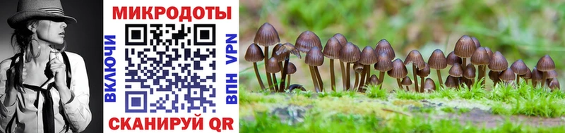Псилоцибиновые грибы Cubensis  купить наркоту  Воркута 